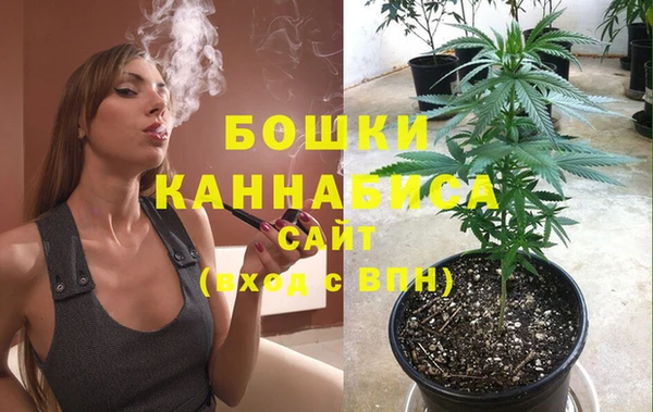 прущие грибы Наволоки
