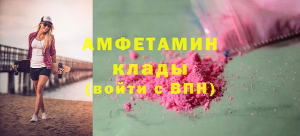 прущие грибы Наволоки