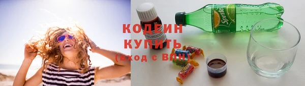 прущий лед Нея