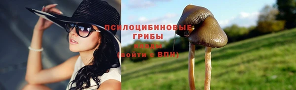 ПСИЛОЦИБИНОВЫЕ ГРИБЫ Нефтегорск