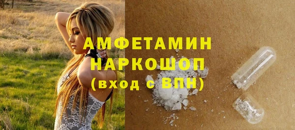 прущие грибы Наволоки
