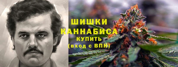ПСИЛОЦИБИНОВЫЕ ГРИБЫ Нефтегорск
