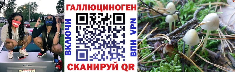 Псилоцибиновые грибы ЛСД  Очёр 